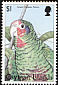 Cuban Amazon Amazona leucocephala  1998 Birds 