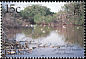 Black-necked Stilt Himantopus mexicanus  2001 Cayman Brac 6v set