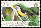 Bananaquit Coereba flaveola  2006 Birds definitives 