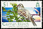 Caribbean Elaenia Elaenia martinica  2006 Birds definitives 
