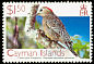 West Indian Woodpecker Melanerpes superciliaris  2006 Birds definitives 