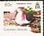 Caribbean Dove Leptotila jamaicensis  2007 Birds definitives Booklet, sa