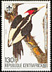 Ivory-billed Woodpecker Campephilus principalis  1985 Audubon 