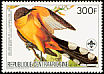 Mangrove Cuckoo Coccyzus minor  1985 Audubon 