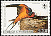 Barn Swallow Hirundo rustica  1985 Audubon 