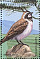 Horned Lark Eremophila alpestris  1999 Birds of Africa  MS