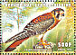 American Kestrel Falco sparverius  1999 Birds Sheet