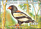 Bateleur Terathopius ecaudatus  1999 Birds Sheet