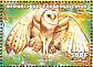 Western Barn Owl Tyto alba  1999 Birds Sheet