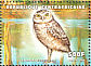 Burrowing Owl Athene cunicularia  1999 Birds Sheet