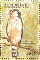 Pygmy Falcon Polihierax semitorquatus  2000 Birds of Africa Sheet