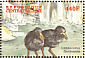 Black Crake Zapornia flavirostra  2000 Birds of Africa Sheet