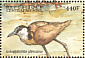African Jacana Actophilornis africanus  2000 Birds of Africa Sheet