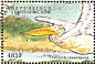 Great White Pelican Pelecanus onocrotalus  2000 Birds of Africa Sheet