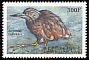 Squacco Heron Ardeola ralloides  2000 Birds of Africa 