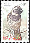 Cape Sparrow Passer melanurus  2000 Birds of Africa 