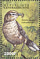 Karoo Scrub Robin Cercotrichas coryphoeus  2000 Birds of Africa  MS MS MS