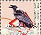 White-necked Raven Corvus albicollis  2001 Birds Sheet