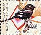 Magpie Shrike Urolestes melanoleucus  2001 Birds Sheet