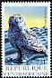 Snowy Owl Bubo scandiacus  2001 Birds 