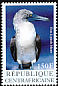 Blue-footed Booby Sula nebouxii  2001 Birds 