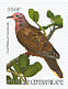 Mourning Dove Zenaida macroura  2001 Birds Sheet