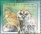 Tawny Owl Strix aluco  2011 Owls Sheet