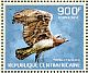 Martial Eagle Polemaetus bellicosus  2014 Eagles Sheet