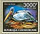 Pink-backed Pelican Pelecanus rufescens  2014 Seabirds  MS