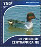 Green-winged Teal Anas carolinensis  2015 Ducks Sheet