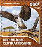 Martial Eagle Polemaetus bellicosus  2015 African raptors Sheet