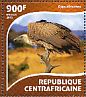 White-backed Vulture Gyps africanus  2015 African raptors Sheet