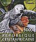Grey Parrot Psittacus erithacus  2015 Parrots  MS