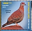 Centralafrica 2023 Biodiversity, birds Sheet