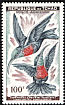 Scarlet-chested Sunbird Chalcomitra senegalensis  1961 Birds 