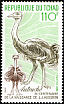 Common Ostrich Struthio camelus  1985 Audubon 