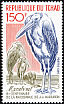 Marabou Stork Leptoptilos crumenifer