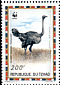 Common Ostrich Struthio camelus