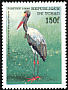 Saddle-billed Stork Ephippiorhynchus senegalensis  1999 African birds 