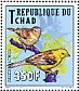 Sudan Golden Sparrow Passer luteus  2012 Birds Sheet
