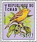 Sudan Golden Sparrow Passer luteus  2012 Birds Sheet