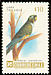 Burrowing Parrot Cyanoliseus patagonus