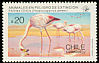James's Flamingo Phoenicoparrus jamesi  1985 Endangered animals 4v sheet