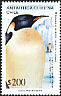 Emperor Penguin Aptenodytes forsteri