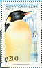 Emperor Penguin Aptenodytes forsteri