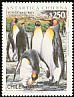 King Penguin Aptenodytes patagonicus  1996 Chilean Antarctic 