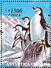 Chinstrap Penguin Pygoscelis antarcticus  1999 Chilean Antarctic  MS