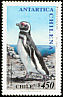 Magellanic Penguin Spheniscus magellanicus  2000 Chilean Antarctic 3v set