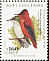 Juan Fernandez Firecrown Sephanoides fernandensis  2001 Chilean birds 