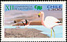 Andean Flamingo Phoenicoparrus andinus  2002 CITES 2v set